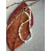 White & Filigree